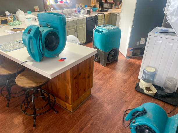 Best Water damage restoration company  in Meadows Place, TX