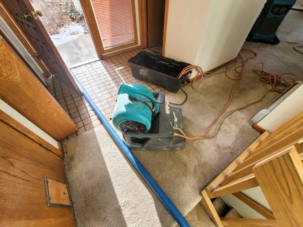  Meadows Place, TX Water damage restoration Pros