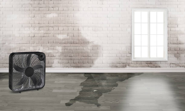 Best Fire Damage Restoration  in Meadows Place, TX