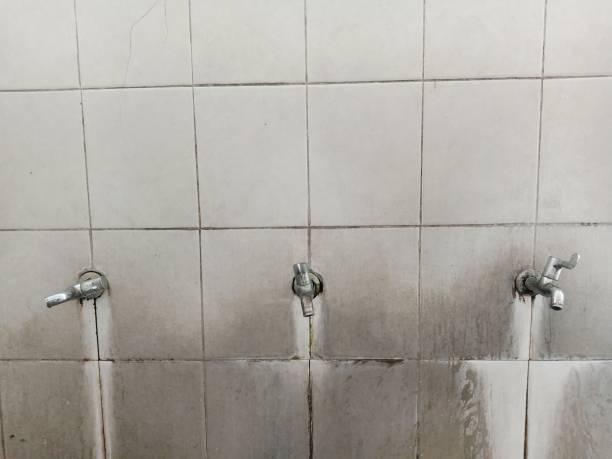 Best Carpet water damage restoration  in Meadows Place, TX